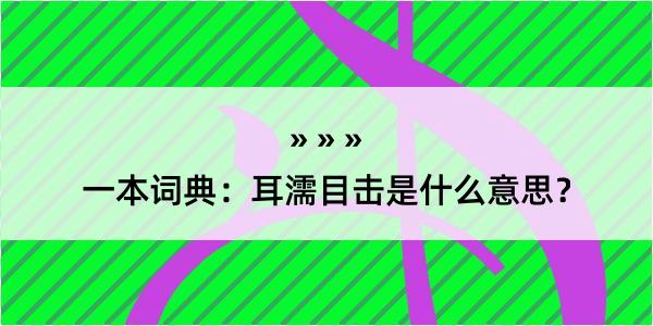 一本词典：耳濡目击是什么意思？