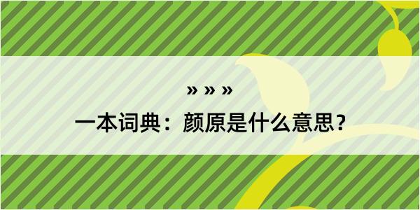 一本词典：颜原是什么意思？