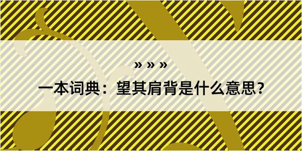 一本词典：望其肩背是什么意思？