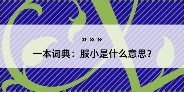 一本词典：服小是什么意思？