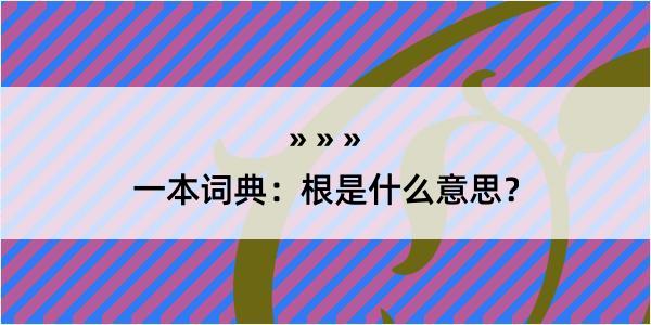 一本词典：根是什么意思？