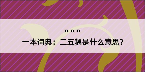 一本词典：二五耦是什么意思？