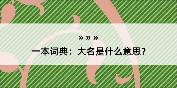 一本词典：大名是什么意思？