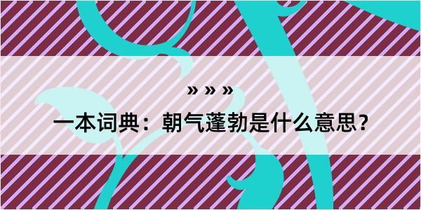 一本词典：朝气蓬勃是什么意思？