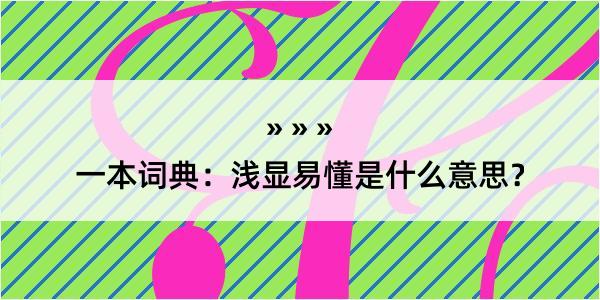 一本词典：浅显易懂是什么意思？