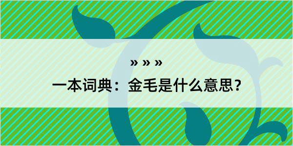 一本词典：金毛是什么意思？