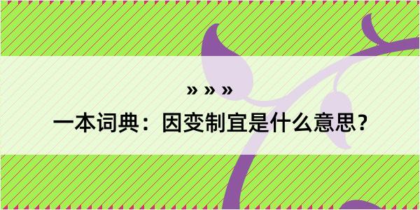 一本词典：因变制宜是什么意思？