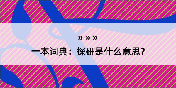 一本词典：探研是什么意思？