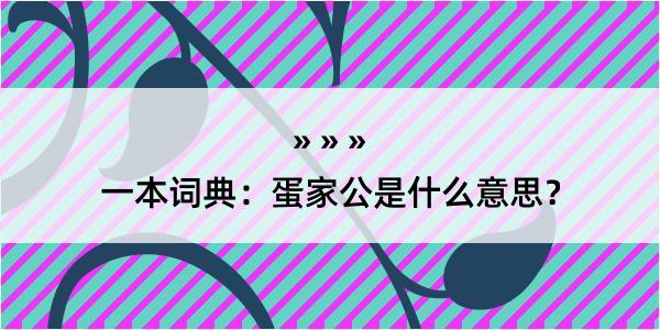 一本词典：蛋家公是什么意思？