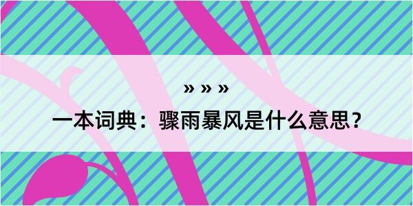 一本词典：骤雨暴风是什么意思？