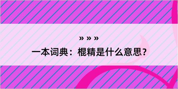 一本词典：棍精是什么意思？