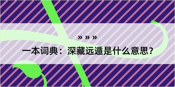 一本词典：深藏远遁是什么意思？