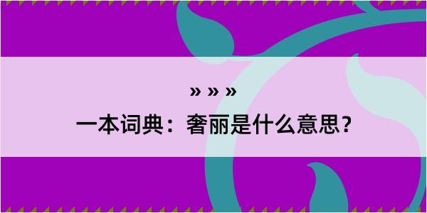 一本词典：奢丽是什么意思？