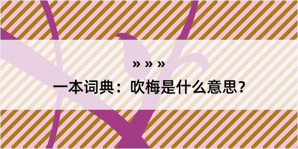 一本词典：吹梅是什么意思？