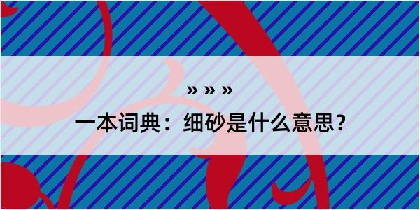 一本词典：细砂是什么意思？