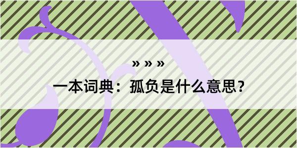 一本词典：孤负是什么意思？