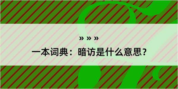 一本词典：暗访是什么意思？