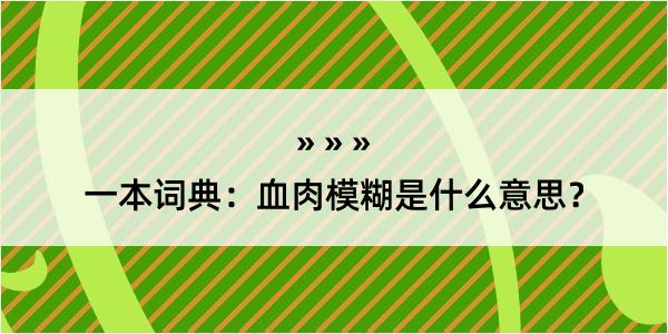 一本词典：血肉模糊是什么意思？