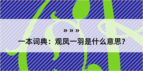 一本词典：观凤一羽是什么意思？