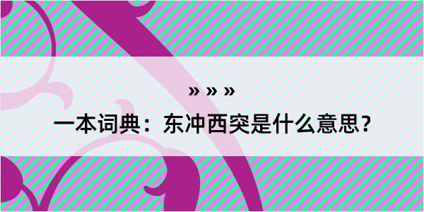 一本词典：东冲西突是什么意思？