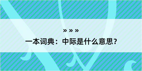 一本词典：中际是什么意思？