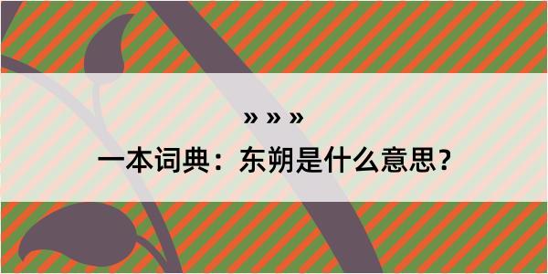 一本词典：东朔是什么意思？