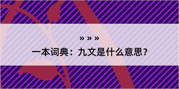 一本词典：九文是什么意思？