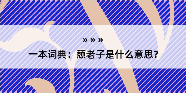 一本词典：颓老子是什么意思？