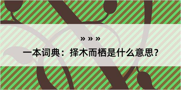 一本词典：择木而栖是什么意思？