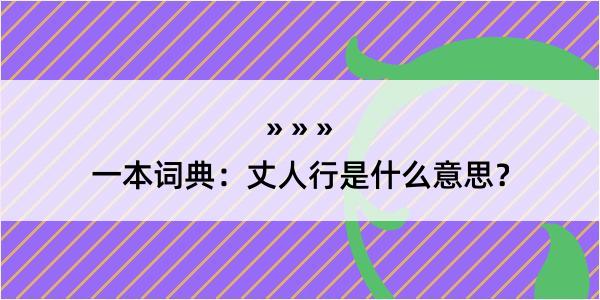 一本词典：丈人行是什么意思？