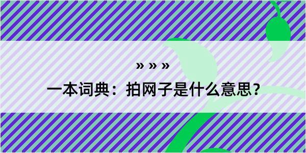 一本词典：拍网子是什么意思？