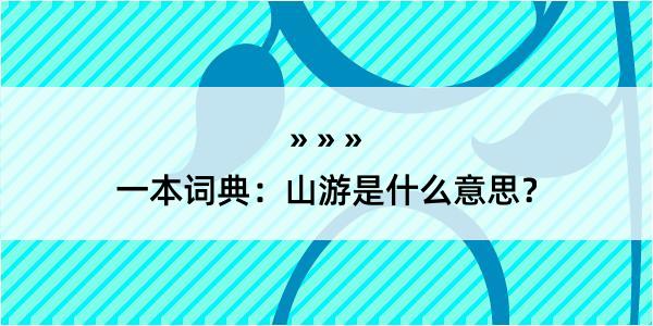 一本词典：山游是什么意思？