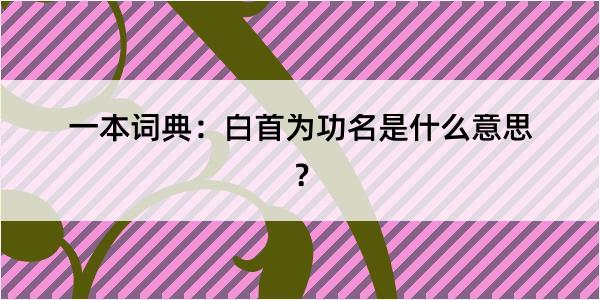 一本词典：白首为功名是什么意思？