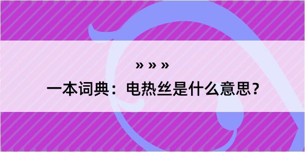 一本词典：电热丝是什么意思？