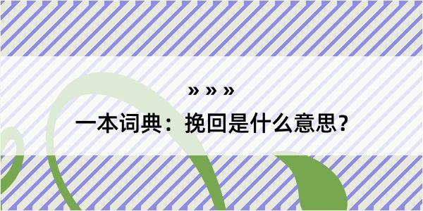 一本词典：挽回是什么意思？