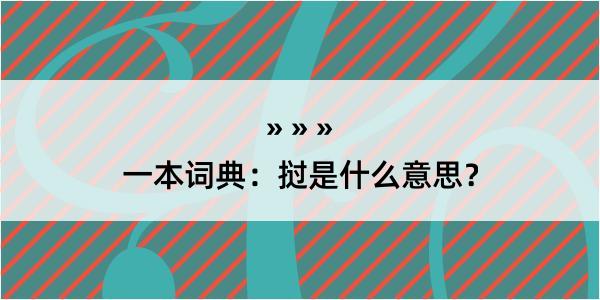 一本词典：挝是什么意思？