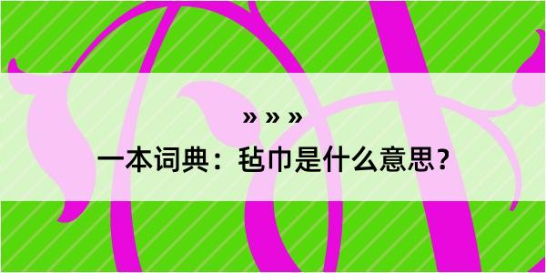 一本词典：毡巾是什么意思？