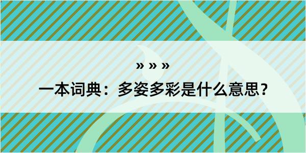 一本词典：多姿多彩是什么意思？