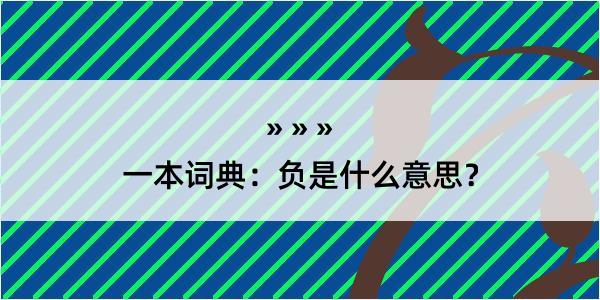 一本词典：负是什么意思？