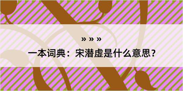 一本词典：宋潜虚是什么意思？