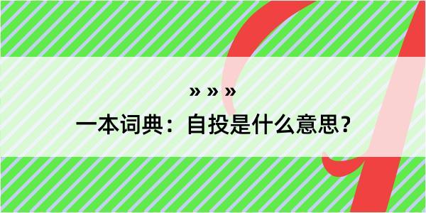 一本词典：自投是什么意思？