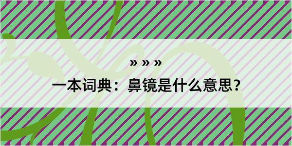 一本词典：鼻镜是什么意思？