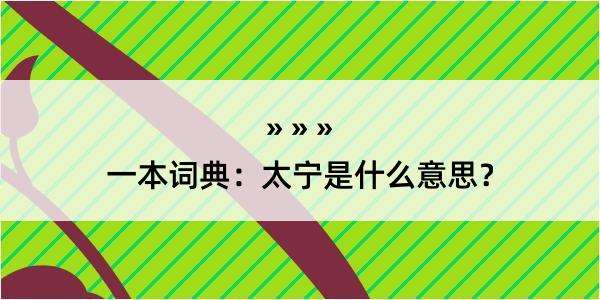 一本词典：太宁是什么意思？