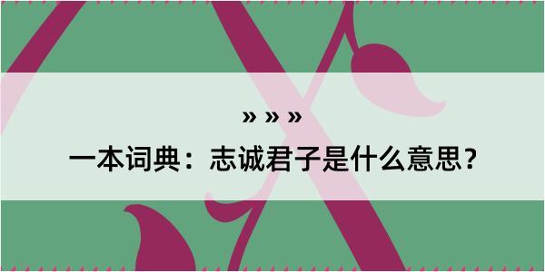 一本词典：志诚君子是什么意思？