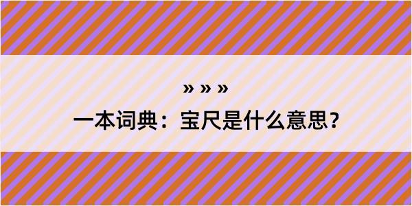 一本词典：宝尺是什么意思？