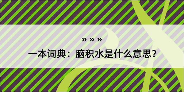 一本词典：脑积水是什么意思？