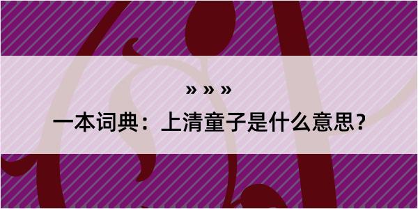 一本词典：上清童子是什么意思？