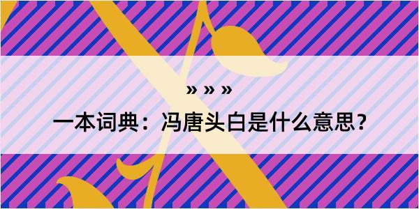 一本词典：冯唐头白是什么意思？