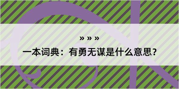 一本词典：有勇无谋是什么意思？