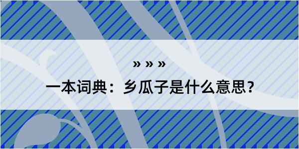 一本词典：乡瓜子是什么意思？